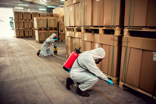 Best Best Pest Control Companies  in Norton Shores, MI