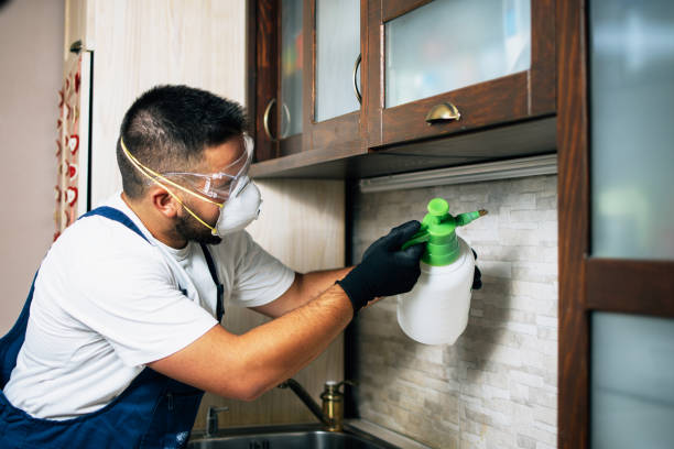 Best Flea Control Services  in Norton Shores, MI