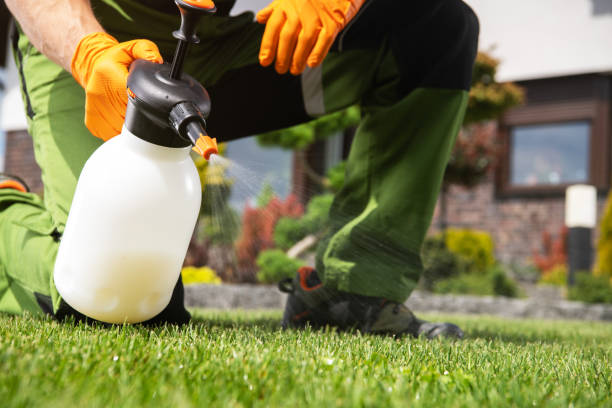 Best Ant Control Services  in Norton Shores, MI