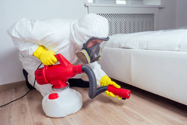 Best Affordable Pest Control Services  in Norton Shores, MI