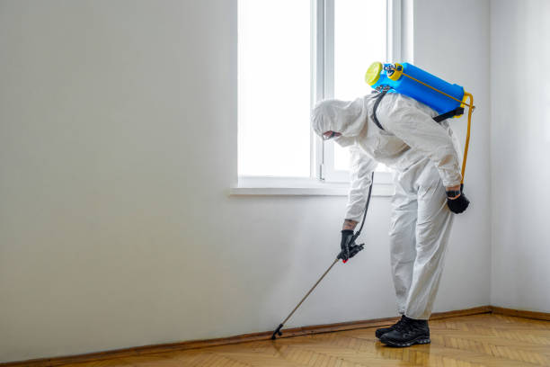 Best Exterminator Services  in Norton Shores, MI