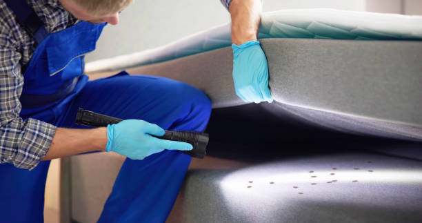Best Pest Control Near Me  in Norton Shores, MI