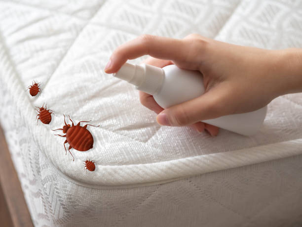 Best Mosquito Control Services  in Norton Shores, MI