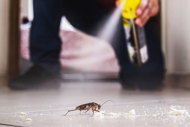 Best Commercial Pest Control Services  in Norton Shores, MI
