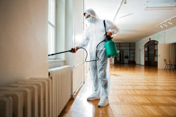 Best Local Pest Control Services  in Norton Shores, MI