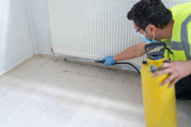 Best Wasp Removal Services  in Norton Shores, MI