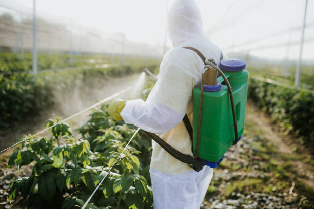 Best Pest Removal Services  in Norton Shores, MI